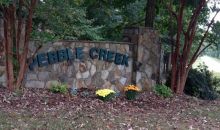 135 Pebble Creek Court Covington, GA 30016