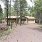 Black Bear, Pinetop, AZ 85935 ID:917115