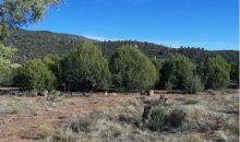 Lot 103 S. Palomino Place Payson, AZ 85541