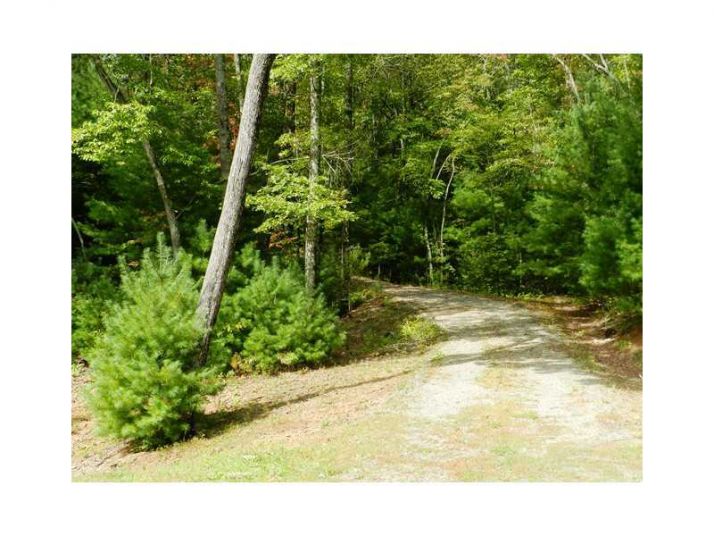 0 Lot 5 Robert Drive, Ellijay, GA 30540