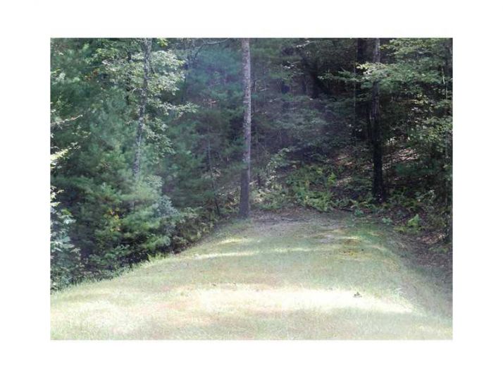 0 Lot 14 Francis Drive, Ellijay, GA 30540