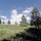 Lot 37 Pilgrim Ridge Road, White Bird, ID 83554 ID:1044764