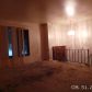 321 East Maple Drive, Glenwood, IL 60425 ID:1064101