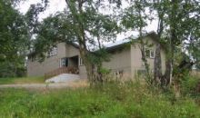 8719 N Wolverine Road Palmer, AK 99645