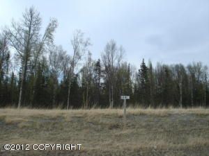 L19 B2 E Tributary Avenue, Palmer, AK 99645