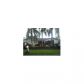 10711 SW 146 CT, Miami, FL 33186 ID:599356