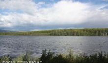 13526 W Cheri Lake Drive Big Lake, AK 99652