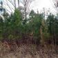 0 Ruff Road, Rockmart, GA 30153 ID:2445332