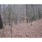 369 Dry Hollow Road, Dahlonega, GA 30533 ID:2673573