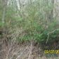 COUNTY ROAD 1579, Cullman, AL 35058 ID:1364309