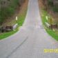 COUNTY ROAD 1579, Cullman, AL 35058 ID:1364311