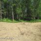 10295 E Vince Circle, Palmer, AK 99645 ID:1514170