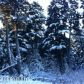 L3 B9 Timberline Drive, Girdwood, AK 99587 ID:1586580