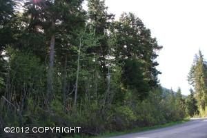 L12 B25 Timberline Drive, Girdwood, AK 99587