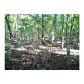 0 Lovelace Road, Clarkesville, GA 30523 ID:3131875