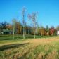 592 Gibson Road, Clarkesville, GA 30523 ID:2547517