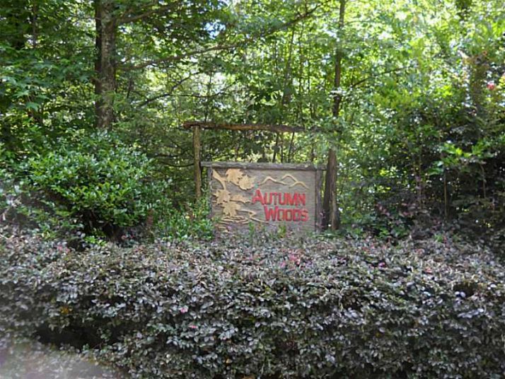 260 Autumn Harvest Lane, Dahlonega, GA 30533