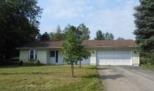 11061 Greenview Ct Jerome, MI 49249