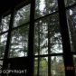 333 Donner Drive, Girdwood, AK 99587 ID:1586634