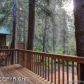 165 Alpina Way, Girdwood, AK 99587 ID:1586958