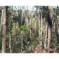 3566 Blazingstar Trail, Jasper, GA 30143 ID:2856775