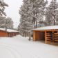 3145 Cedar Mountain Road, Divide, CO 80814 ID:2678802