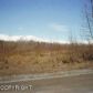 8815 E Kilkenny Drive, Palmer, AK 99645 ID:1514151