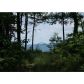 384 Laurel Hollow Road, Rising Fawn, GA 30738 ID:2680343