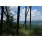 384 Laurel Hollow Road, Rising Fawn, GA 30738 ID:2680344