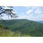 384 Laurel Hollow Road, Rising Fawn, GA 30738 ID:2680348