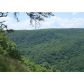 384 Laurel Hollow Road, Rising Fawn, GA 30738 ID:2680350