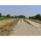 11668 Iona Ave, Lemoore, CA 93245 ID:1655251