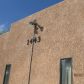 1443 N Sycamore Blvd Apt 1, Tucson, AZ 85712 ID:979457