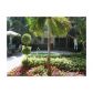 5780 ROCK ISLAND ROAD # 364, Fort Lauderdale, FL 33319 ID:932161