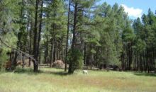 149 Wild Cat Circle Payson, AZ 85541