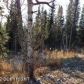 9341 W Lake Drive, Eagle River, AK 99577 ID:2909052