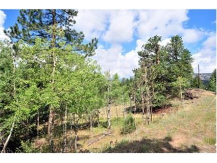 345 Catamount Ridge Road, Bailey, CO 80421