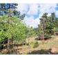 345 Catamount Ridge Road, Bailey, CO 80421 ID:1634534