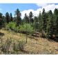 345 Catamount Ridge Road, Bailey, CO 80421 ID:1634539