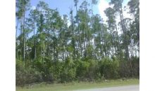 17687 78TH  N. RD Loxahatchee, FL 33470