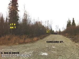 14906 W Concord Street, Big Lake, AK 99652