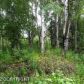 2569 S Knollwood Drive, Big Lake, AK 99652 ID:3137562