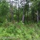 2569 S Knollwood Drive, Big Lake, AK 99652 ID:3137565