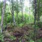 2569 S Knollwood Drive, Big Lake, AK 99652 ID:3137566