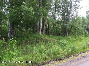 2611 S Walnut Wood Drive, Big Lake, AK 99652