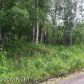 2611 S Walnut Wood Drive, Big Lake, AK 99652 ID:3137568