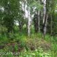 2611 S Walnut Wood Drive, Big Lake, AK 99652 ID:3137569