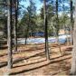 2891 Antelope Trail, Overgaard, AZ 85933 ID:3224393