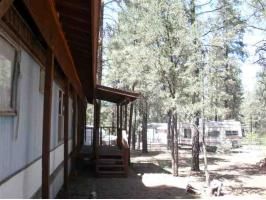 2188 Northwoods, Overgaard, AZ 85933