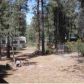 2188 Northwoods, Overgaard, AZ 85933 ID:3224410